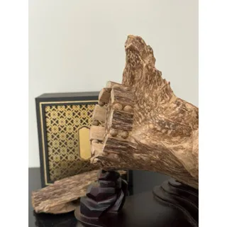 Raw Agarwood Bracelet – Natural Vietnamese Agarwood Beads (Wild Oud Style)